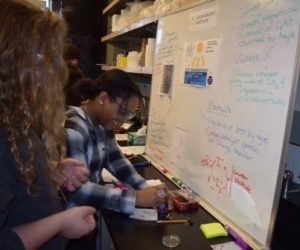 Students from TAF Academy build organize solar cells using dyes from berries 