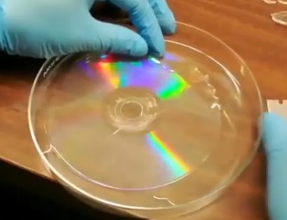 rainbow nanoimprinted pdms film
