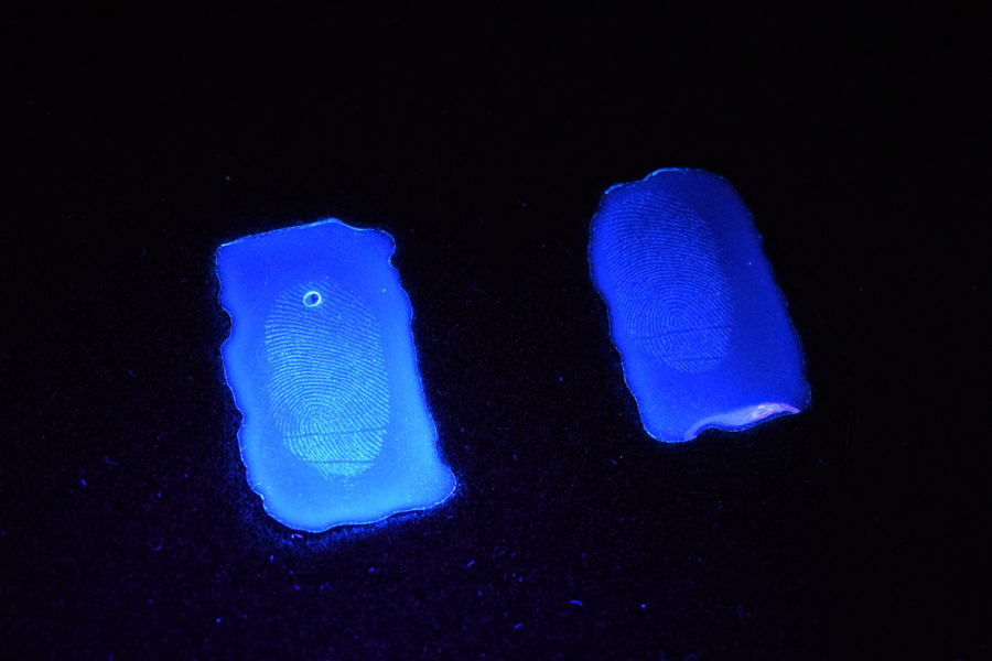 Fingerprints glow in two rectangular pieces of plastic.