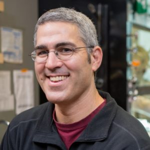 Headshot of chemistry professor Daniel Gamelin