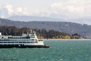 orcas scenery_web orcas scenery_web