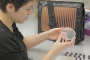 Luscombe Lab