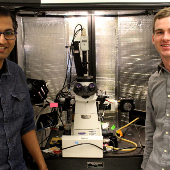 , Researchers Uncover Design Principles for Polymers that Can Transport Both Ions &#038; Electrons