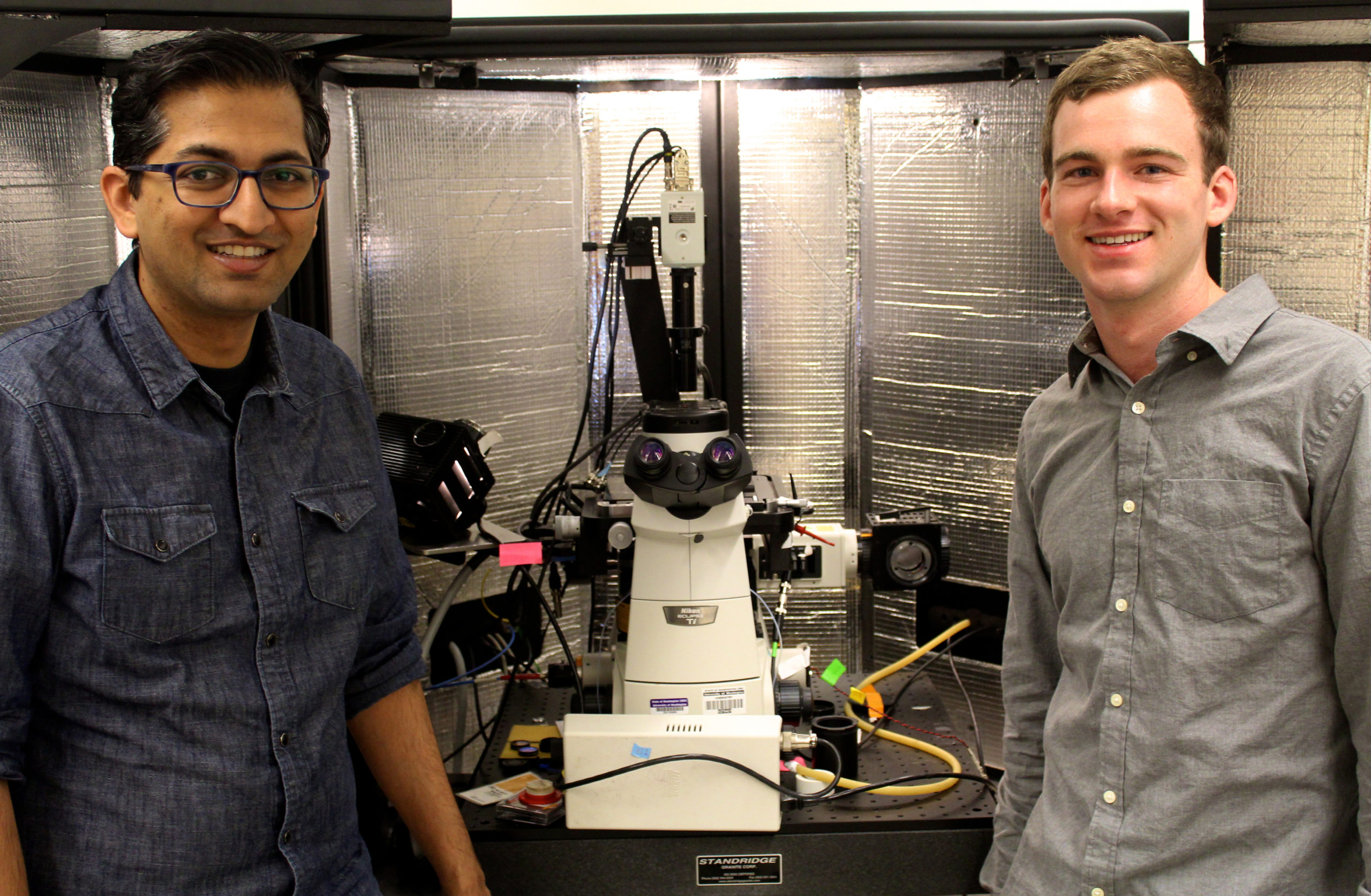 , Researchers Uncover Design Principles for Polymers that Can Transport Both Ions &#038; Electrons