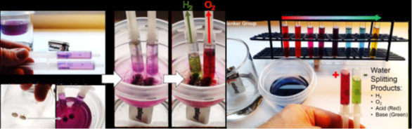 Fig. 1. We have extracted a natural anthocyanin dye from red cabbage. We use this dye as a universal pH indicator. The color change from purple to green or red allows us to show that splitting water into 2 parts H2 (larger volume of gas) and 1 part O2 (smaller volume) using a common 9-volt battery and two thumbtacks also generates acid (red) at the anode and base (green) at the cathode.