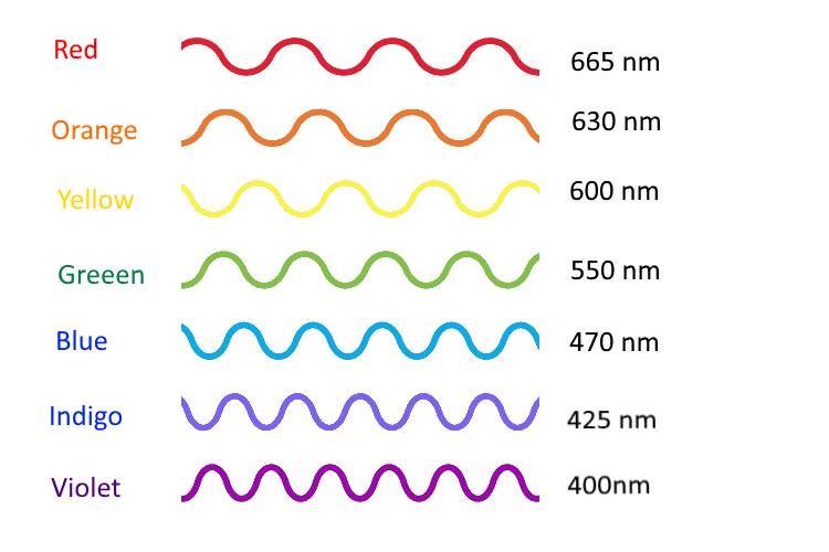 wavelengths and colors of the spectrum
