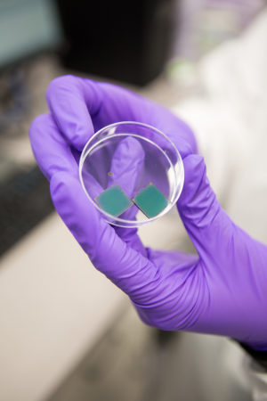 Prototype polymer solar cells from the Luscombe lab. (Matt Hagen / Clean Energy Institute)