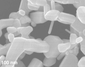 A greyscale image of amorphous crystals ranging from 20 to 100 nanometers in diameter, and 50+ nanometers in length. A 100-nanometer scale bar is in the bottom-left corner.