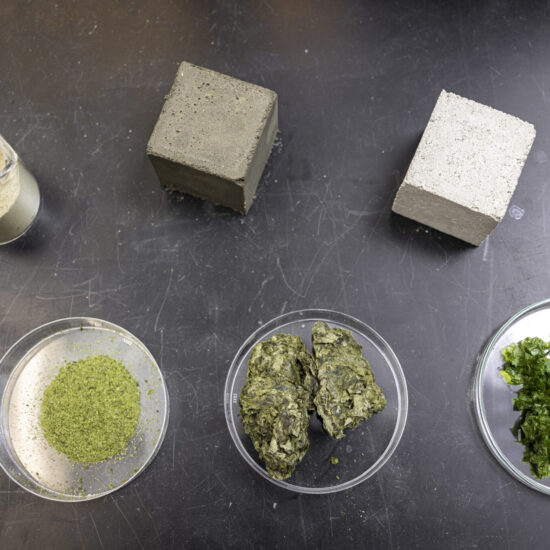 top down view of 6 materials on a table.