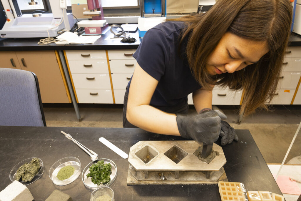 , Seaweed-infused cement could cut concrete&rsquo;s carbon footprint