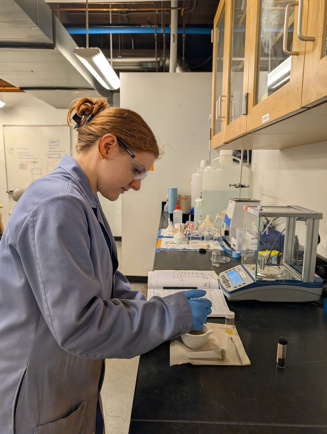 , From transfer student to Husky 100: Lauren Ellis describes her UW journey